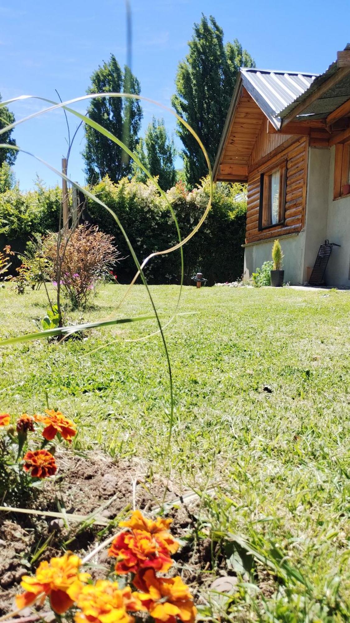 Cabana Los Teros San Martín de los Andes Eksteriør bilde